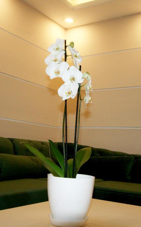 Apartment Jasmine 2 Beograd Ngoại thất bức ảnh